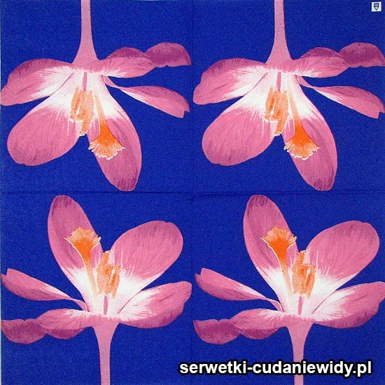 41892 Serwetki Papierowe