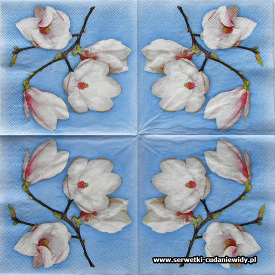 4199 White Orchids