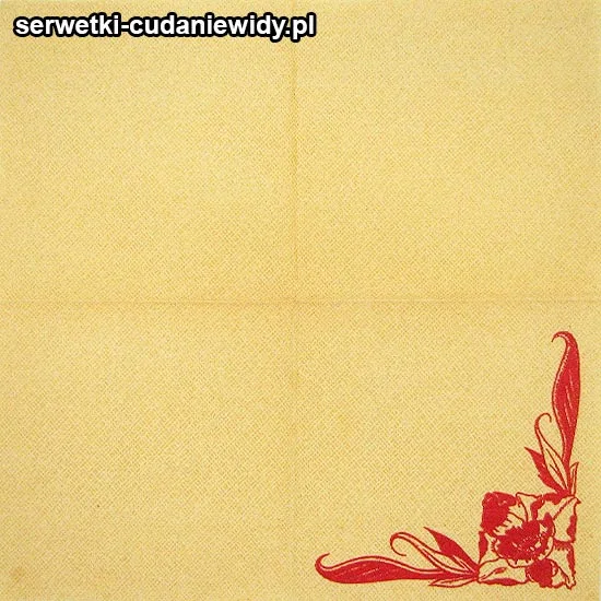 42124 Serwetki Papierowe