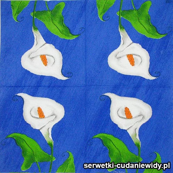 42220 Serwetki Papierowe