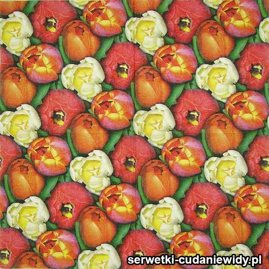 42395 Serwetki Papierowe