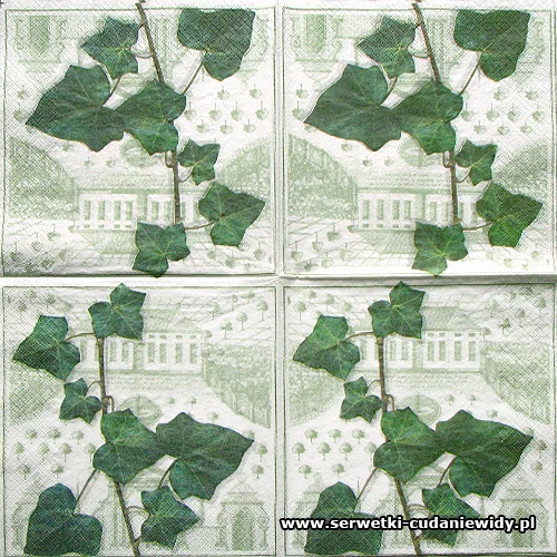 4265 Ivy