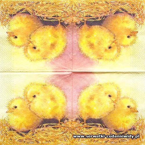 4288 Two Chicks