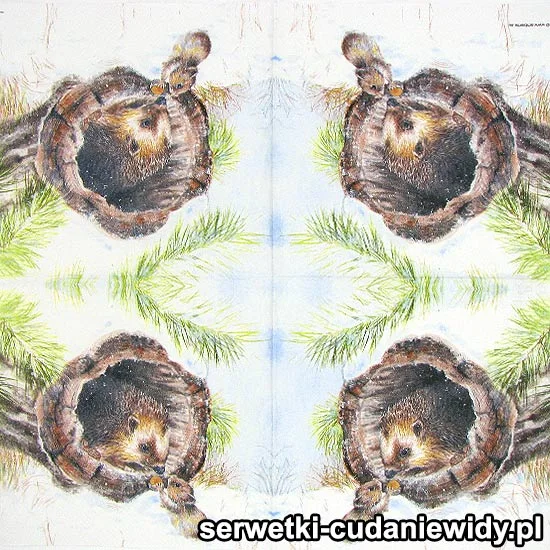 4326 Jeż I Wiewiórka