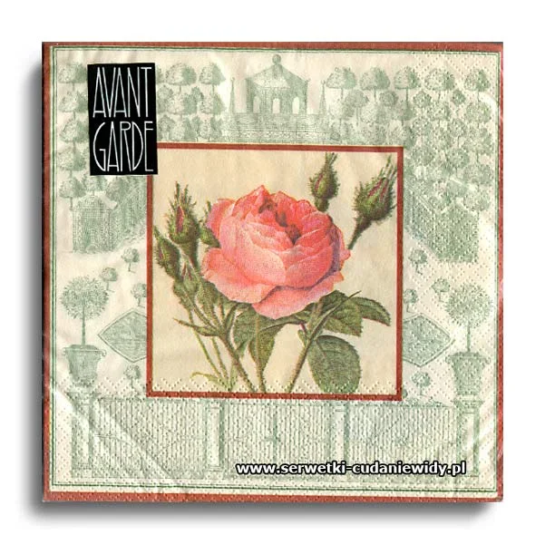 4345PACZKA Rose