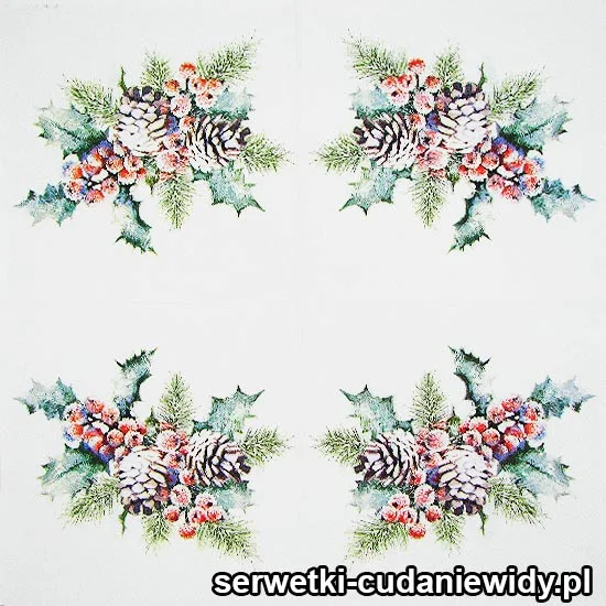 Poinsetia I Dekoracje Św.