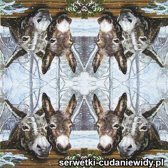 4423 Osiołki Zimową Porą