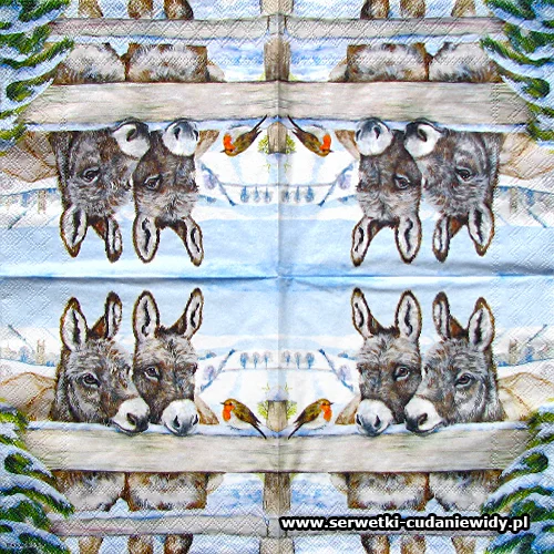 4442 Donkeys