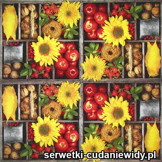44469 Serwetka Papierowa