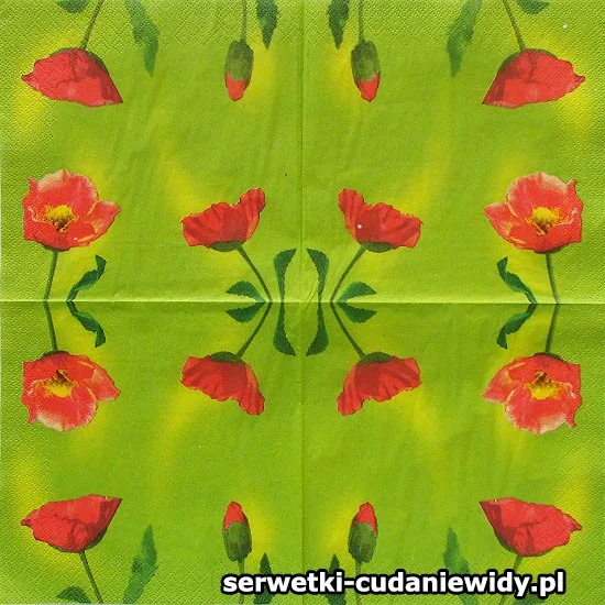 4482 Archiwalny Wzór