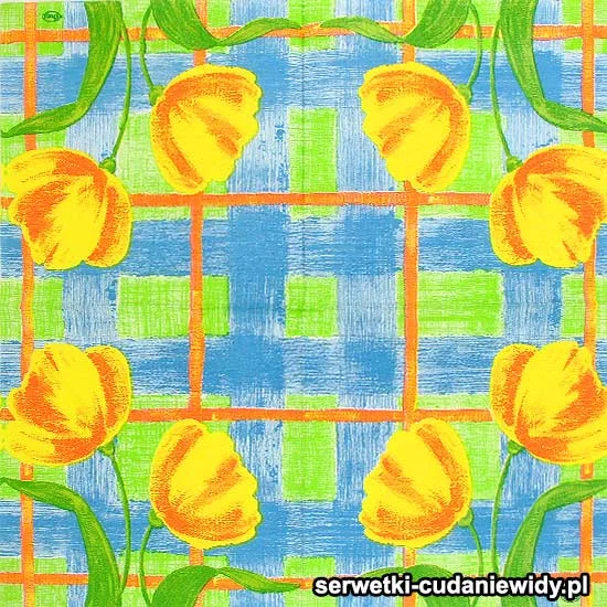 45017 Wzór Unikalny