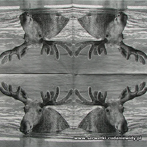 4516 Moose