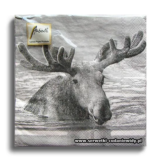 4516PACZKA Moose