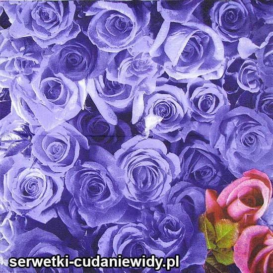 45229 Serwetki Dekoracyjne