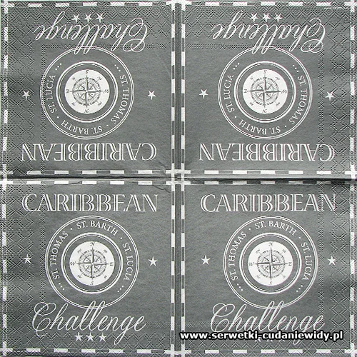 4557 Caribbean Chall Grey