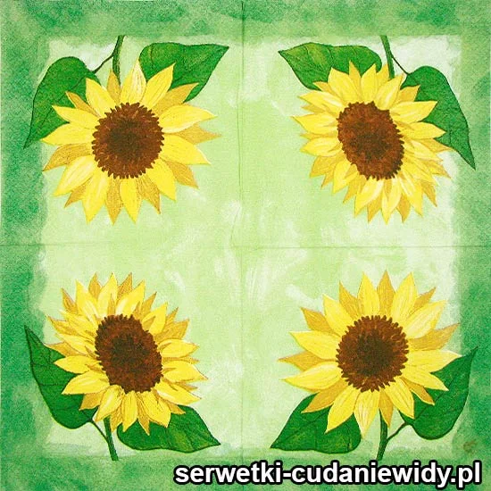 45572 Serwetki Dekoracyjne