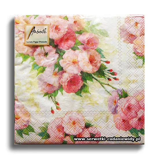 4568PACZKA Arianna
