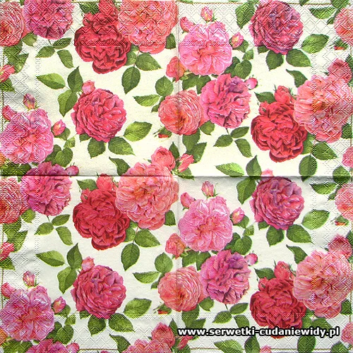 4576 Beautiful Rose