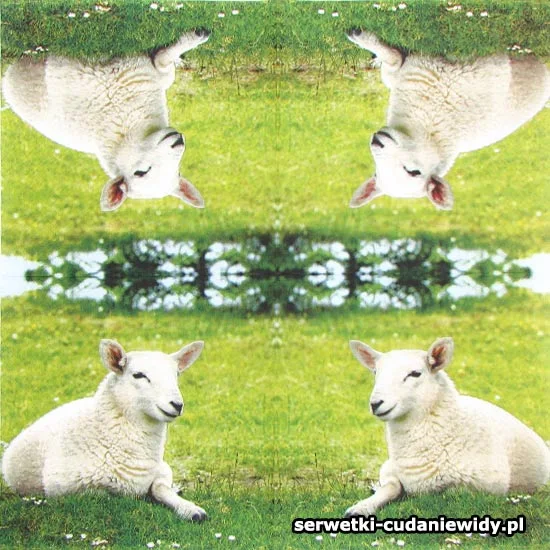 4577 Owca Odpoczywa