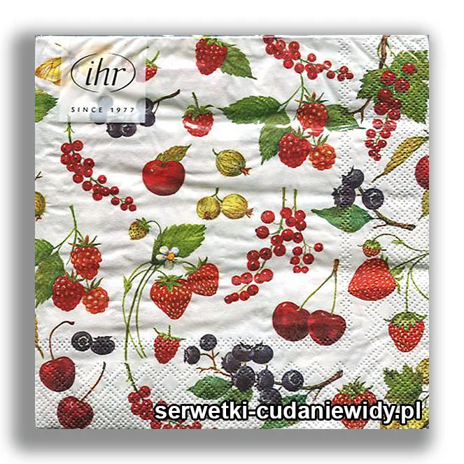 4607PACZKA Letnie Owoce