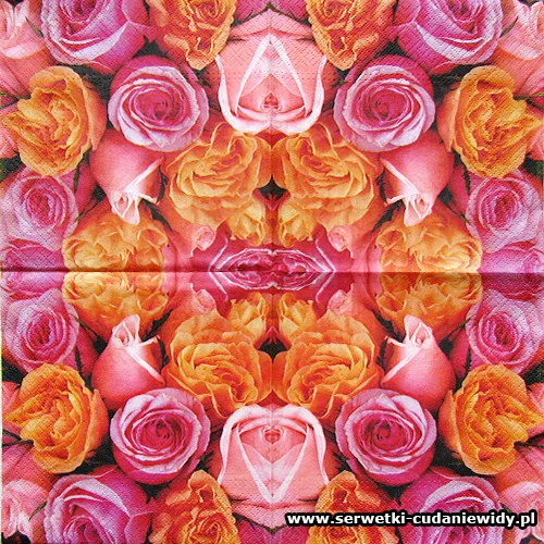 4647 Rose Roses