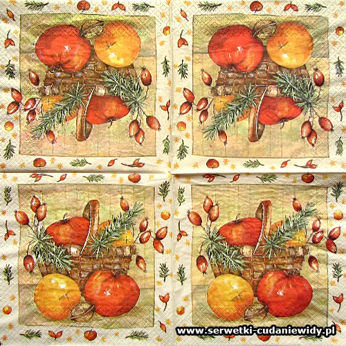 4659 Winter Apple