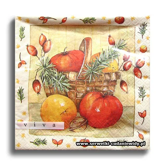 4659PACZKA Winter Apple