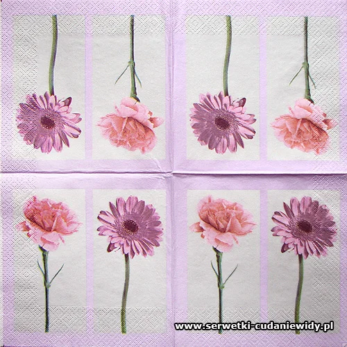 4665 Gerbera I Róża