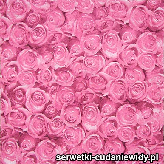 46687 Serwetki Papierowe