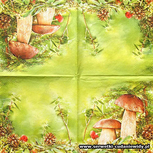 4681 Couple Of Boletus