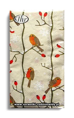4707PACZKA Little Red Robins
