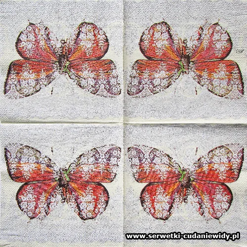 4729 Lacy Buterfly Cream