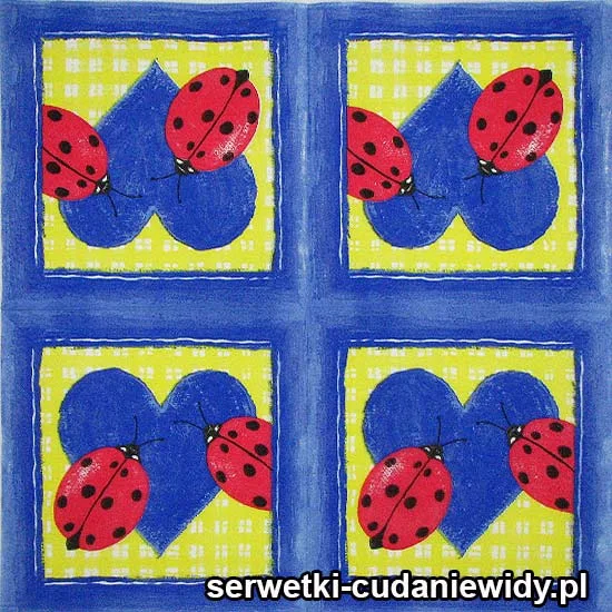 47530 Biedronki