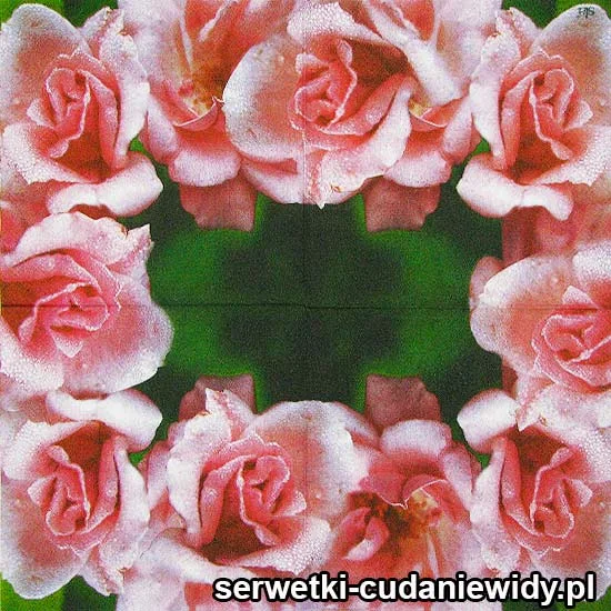 47539 Serwetki Papierowe