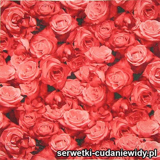 47541 Serwetki Papierowe
