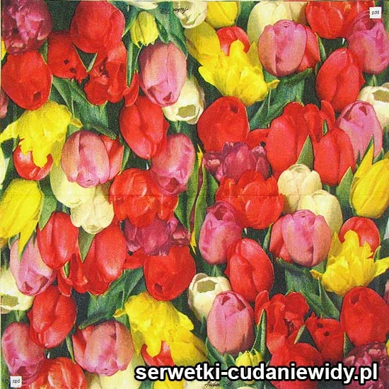 47723 Serwetki Dekoracyjne