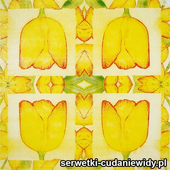 47737 Serwetki Dekoracyjne