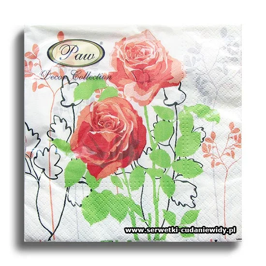4778PACZKA Rose Orange