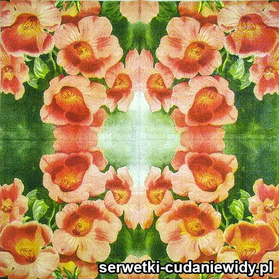 47873 Serwetki Dekoracyjne