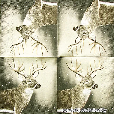 4803 Deer Deer