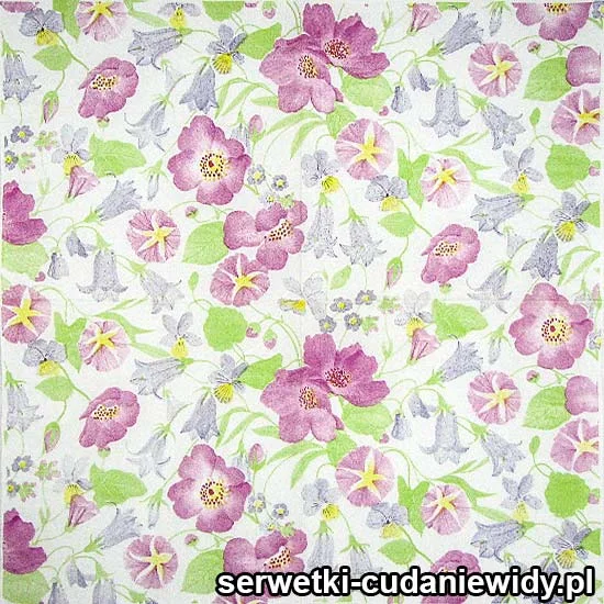 48085 Piękne Serwetki