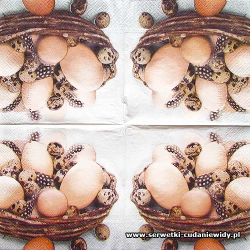 4833 Quail Eggs