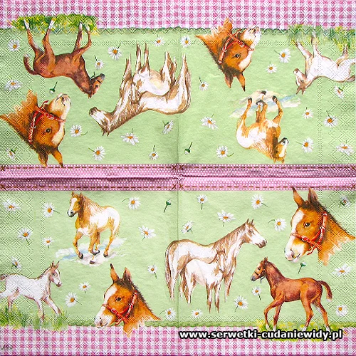 4887 My Little Horse