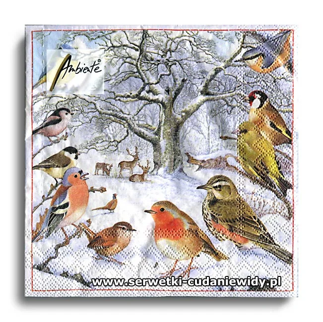 4901PACZKA Bird Meeting