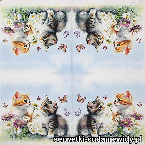 4903 Zabawy Kociąt Wśród Kwiatów