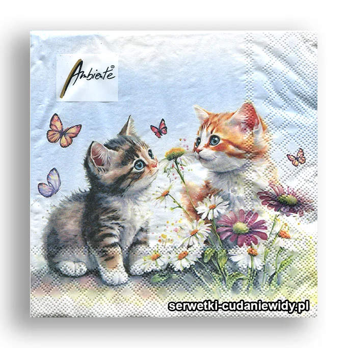 4903PACZKA Kociaki W Ogrodzie