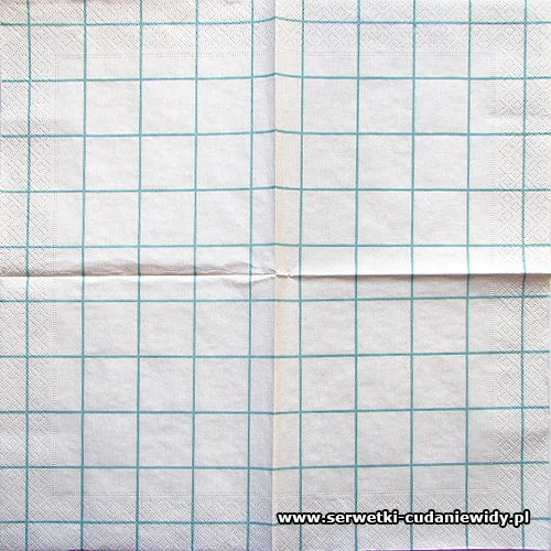 4915 Home Square White Aqua