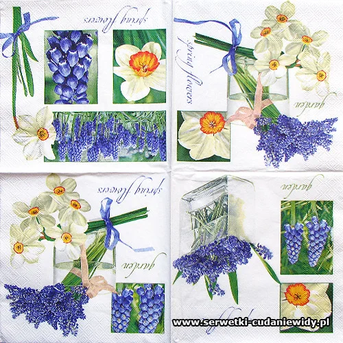 4922 Muscari And Narcissus