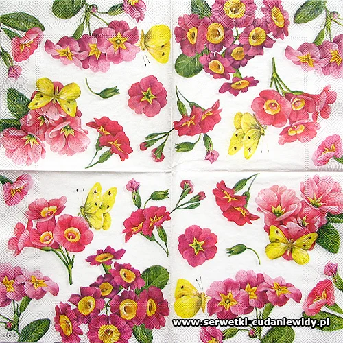 4924 Pink Primrose White