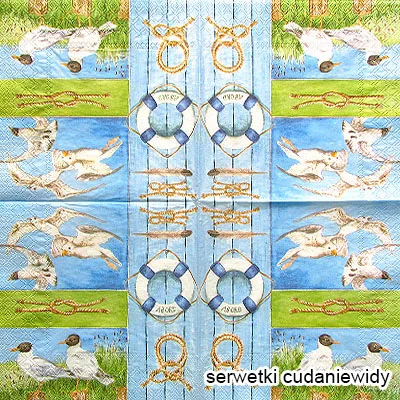 4937 Seagulls
